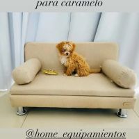 Romina Uhrig de “Gran Hermano” y Caramelo