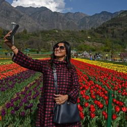 Un turista se hace un selfie con un teléfono móvil en el Jardín de los Tulipanes, considerado el más grande de Asia, en Srinagar, India. | Foto:TAUSEEF MUSTAFA / AFP