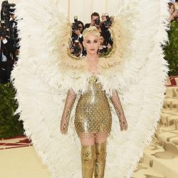 La presencia de plumas en otras ediciones del Met Gala