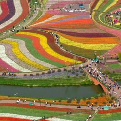 Esta foto aérea muestra a la gente mirando las flores en el Parque de Flores Dafeng Holland en Yancheng, en la provincia oriental china de Jiangsu. | Foto:AFP