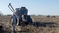 Tras la sequía, se espera una mejora en las precipitaciones para la próxima cosecha