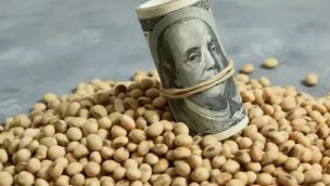 Dólar agro: cuáles son los motivos detrás del freno a la liquidación de soja