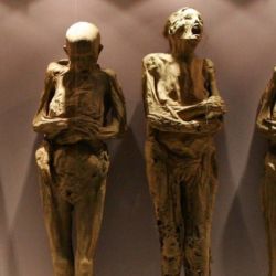 Fueron momificadas sin querer cuando fueron enterrados en criptas que estaban ubicadas en suelo seco y rico en minerales en el estado de Guanajuato. 