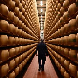 Un trabajador camina junto a ruedas de queso Parmigiano Reggiano almacenadas en el departamento de maduración de la Casearia Castelli, en Reggio Emilia, norte de Italia. | Foto:MARCO BERTORELLO / AFP