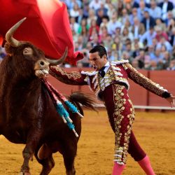 El torero español José María Manzanares realiza un pase de muleta a un toro durante una corrida en la plaza de toros de La Maestranza de Sevilla. | Foto:CRISTINA QUICLER / AFP