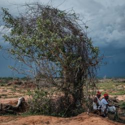 Los líderes espirituales locales del grupo étnico Kaya-Giriama esperan el transporte para visitar el lugar de la fosa común en el bosque de Shakahola, a las afueras de la ciudad costera de Malindi. - El número de muertos en un caso relacionado con una secta keniana que practicaba la inanición ascendió a 73, según informaron a AFP fuentes policiales, mientras los investigadores desenterraban más cadáveres de fosas comunes en un bosque cercano a la costa. | Foto:YASUYOSHI CHIBA / AFP