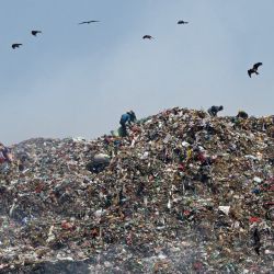 Traperos trabajan en un vertedero en un caluroso día de verano en las afueras de Ahmedabad, India. | Foto:SAM PANTHAKY / AFP