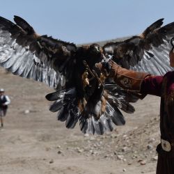 Un cazador de Kyrgiz hace girar un señuelo para un halcón durante el festival de caza Salburun en el pueblo de Bokonbayevo, cerca del lago Issyk-Kul. | Foto:VYACHESLAV OSELEDKO / AFP