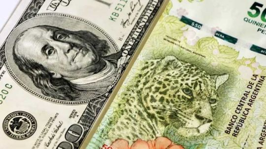 Suba del dólar: “Quieren ponerle nombre y apellido a la corrida bancaria”, aseguró un experto