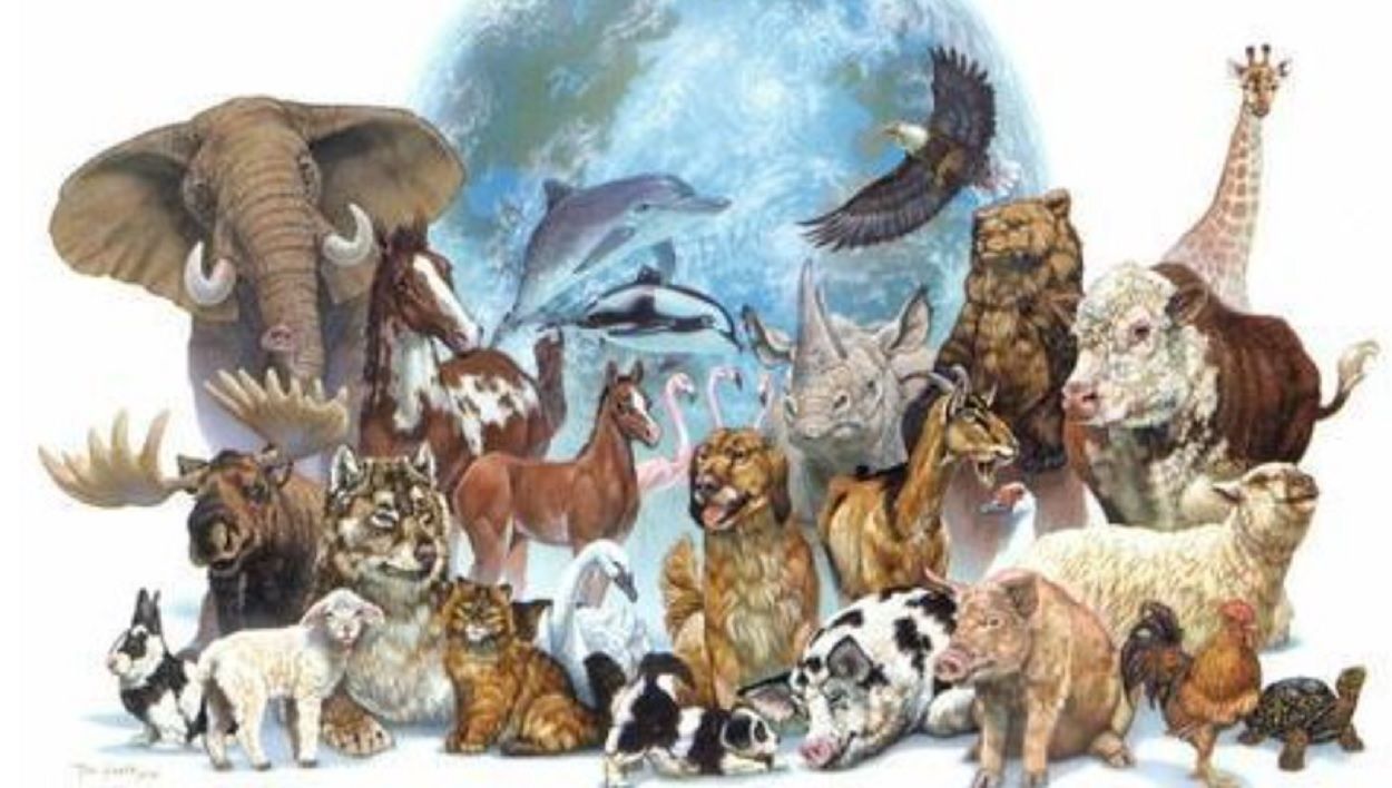 Животные на земном шаре. День животных. Животные земли. Планета животных. Международный день защиты животных.