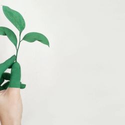Términos relacionados al cuidado del medio ambiente