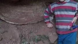 Los restos fósiles estaban ocultos entre los pastizales de la finca.