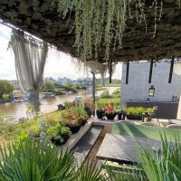 Estudio Gardenia
