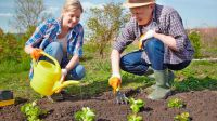 20230430_huerta_cultivo_shutterstock_g