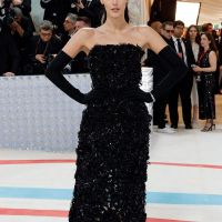 MET Gala 2023: los mejores looks de las celebridades