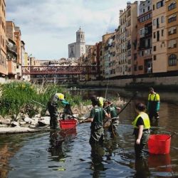 La pesca eléctrica es la más útil para retirar los peces ante la reducción del caudal y la mala calidad del agua.