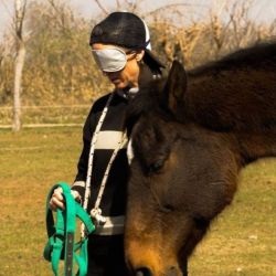 Cómo los caballos nos conectan con la creatividad instantáneamente | Foto:CEDOC