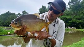 La Provincia de Misiones tiene muchas especies para disfrutar pescando con mosca.