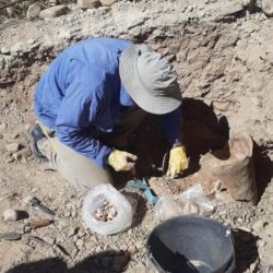Entre los elementos hallados había restos fósiles de dos adultos y de un niño 