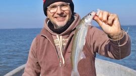 Si trabajamos bien, se llega a la cuota con ejemplares que oscilan los 30 a 38 cm, mechando con alguna sorpresa.