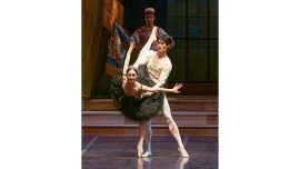 El lago de los cisnes