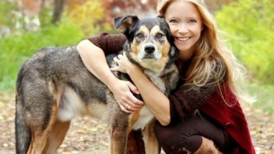 Cinco ventajas de adoptar a un perro adulto frente a un cachorro