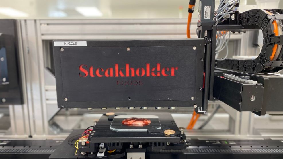 Steakholder