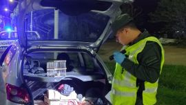 Las aves se encontraban ocultas en cajas tipo jaulas.