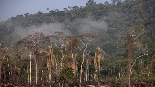 Deforestation In The Amazon Region