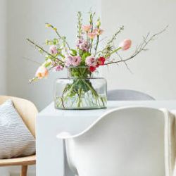 6 plantas con flores bonitas para decorar tu casa