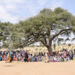 Refugiados sudaneses de la zona de Tandelti que cruzaron a Chad, en Koufroun, cerca de Echbara, se reúnen para la distribución de ayuda. | Foto:Gueipeur Denis Sassou / AFP