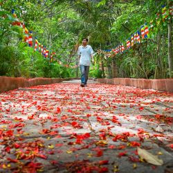 Un devoto budista sale después de ofrecer oraciones con motivo de Buda Purnima que marca el aniversario del nacimiento de Gautama Buda, en un templo en Bengaluru. | Foto:Manjunath Kiran / AFP