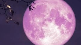 Es uno de los fenómenos astrales más esperados del año.