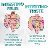 LOS SI Y LOS NO DE LA ALIMENTACION ANTIINFLAMATORIA