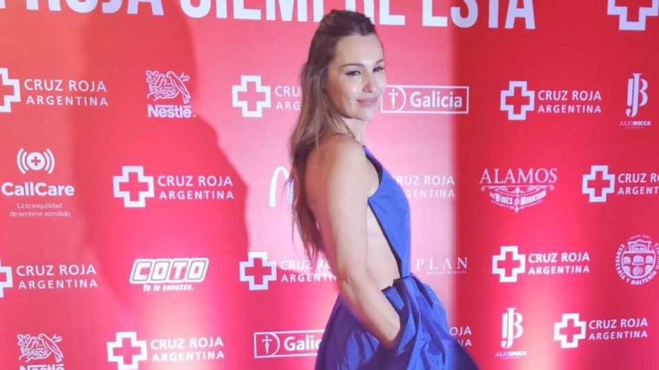 Así es el elegante vestido que Pampita usó en la Cena Anual de la Cruz Roja Argentina