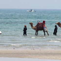 Los visitantes de la turística isla iraní de Qeshm, en el Golfo, podrán dar paseos en camello y practicar otros deportes acuáticos. Junto con la pequeña y lujosa isla de Kish y el puerto de Chabahar en el océano Índico, Qeshm es una de las principales zonas que gozan de exenciones fiscales y otras normativas especiales de importación y exportación en Irán. | Foto:ATTA KENARE / AFP