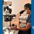 Laboratorio de embriología: El lugar donde se cultivan los sueños