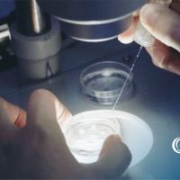 Laboratorio de embriología: El lugar donde se cultivan los sueños