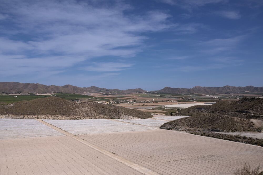 La falta de lluvias se prolonga en territorio español.