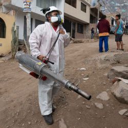 Un miembro de una brigada de salud fumiga una casa contra el virus del dengue en un barrio de chabolas en las colinas del distrito de San Juan de Lurigancho, Lima. Foto de Cris BOURONCLE / AFP. | Foto:AFP