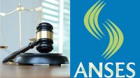 Anses