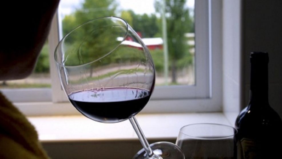 Sector vitivinícola: cómo se adapta el vino al mercado e-commerce