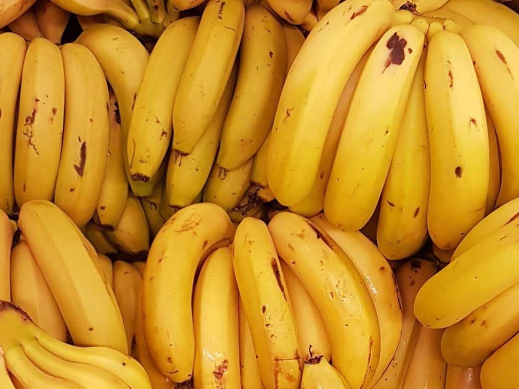 La Provincia fomentará la producción de frutas tropicales y subtropicales