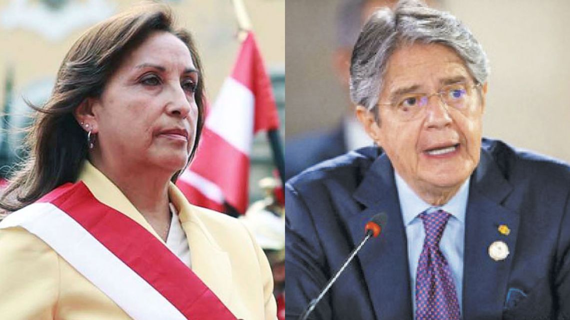 inestabilidad andina |  Perfil