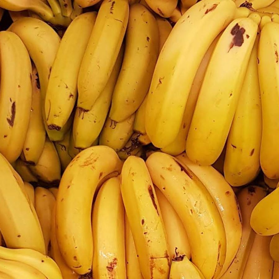 bananas-20230513-1567388