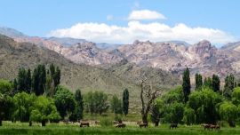 El Valle de Uspallata fue creado en febrero de 2021.