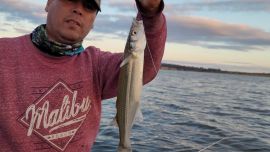 Solían dar mucha cantidad de capturas los ámbitos cordobeses, pero ahora, se sumaron los matungos que cada vez son más en estos bellos pesqueros.