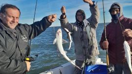 Embarcados, el pejerrey es la principal opción en mayo en Bahía San Blas, siendo la variada la alternativa.