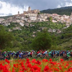 El pelotón de ciclistas pasa junto a un campo de amapolas cerca de la ciudad de Capestrano, en los Apeninos, durante la séptima etapa del Giro de Italia 2023, de 218 km entre Capua y Gran Sasso d'Italia. | Foto:Luca Bettini / AFP