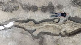 Los restos fósiles fueron hallados en los condados de Tingri y Nyalam, ubicados en la región autónoma de Xizang, Tibet, en el suroeste de China